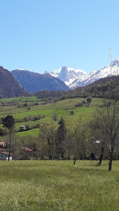 Villa La Casa De La Vega Arenas De Cabrales Esterno foto